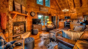 TV, fireplace, books