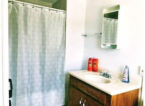 Ensemble douche/baignoire, sĂšche-cheveux, serviettes fournies, savon
