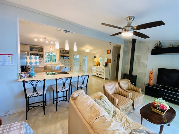 Smart TV, fireplace, books