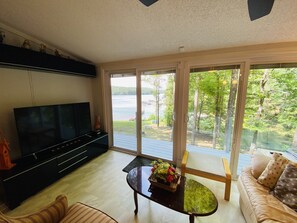 Smart TV, fireplace, books