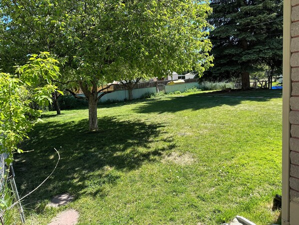 A backyard with a lawn, a tree, and a brick wall.