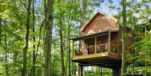 Exterior - Ohiopyle Luxury Treehouse (Farmington)