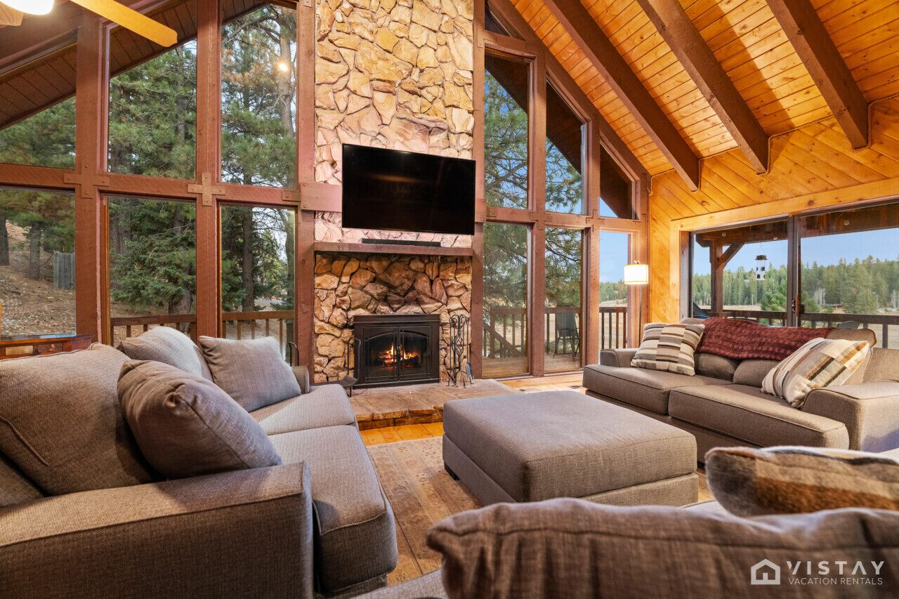 电视、壁炉、电子游戏、立体声音响