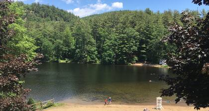 The Loon-ey Bin - Loon themed cottage less than 10 miles to Lake George
