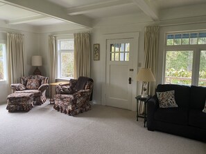 Älytelevisio, takka, DVD-soitin, kirjoja