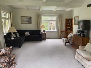 Smart TV, fireplace, DVD player, books