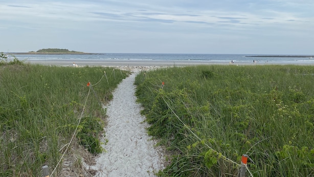 En stig som leder genom ett grönområde ner till stranden, med gräsklädda sluttningar och en ö i fjärran.