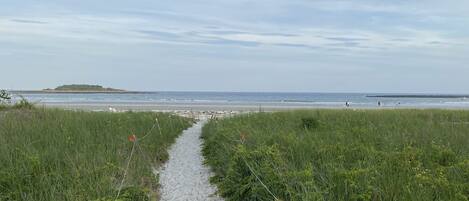 Na praia, espreguiçadeiras