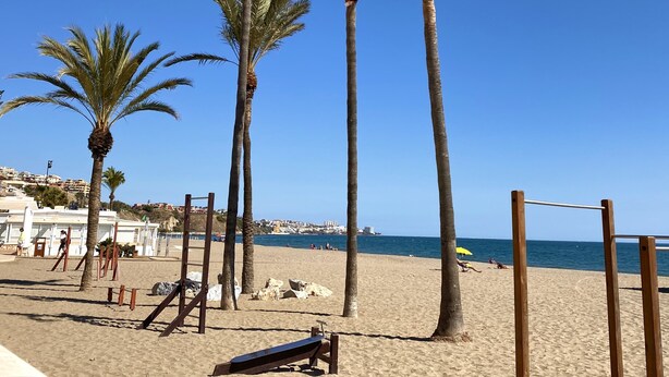 Ein Strand mit Palmen, einer hölzernen Bank und blauem Himmel.
