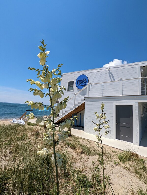 A modern building with a sign reading "WALMOUTH TIDES" near the beach. - Falmouth Tides (Falmouth)