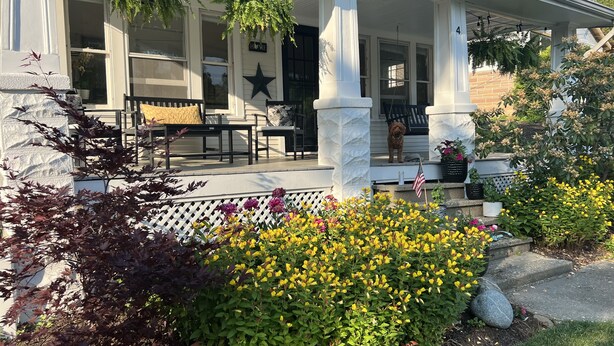 A porch with a bench and a dog, surrounded by a garden with yellow flowers and a star decoration.