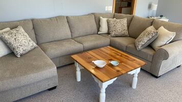 智能電視、DVD 播放機、書籍