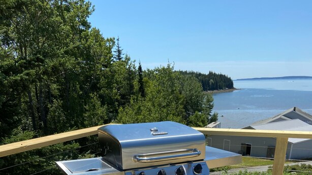 Una parrilla de acero inoxidable portátil con cuatro quemadores y una repisa lateral, ubicada en una terraza de madera con vistas a un bosque y una masa de agua.
