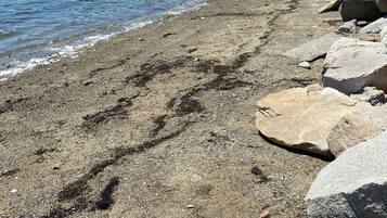 En la playa, camastros y toallas de playa