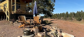 Tiny Home in the Black Hills, "Wild Horse"