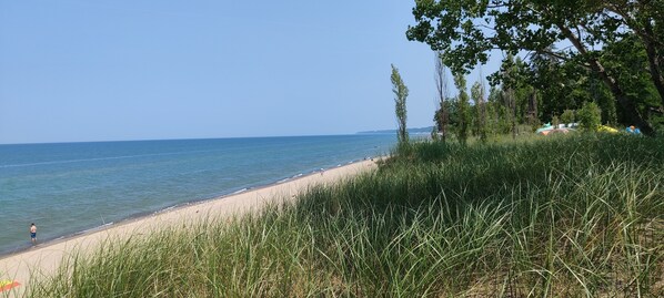 Beach nearby - Cozy cottage surrounded by trees and sounds of nature with new hot tub. (Sawyer)