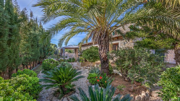A garden with palm trees, various shrubs, and a stone pathway leading to a building with a stone facade. - Villa "Can Antich" with Mountain View, Pool, Wi-Fi, Garden & Terrace (Lloseta)