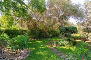 A garden with a stone pathway, various shrubs, and trees.