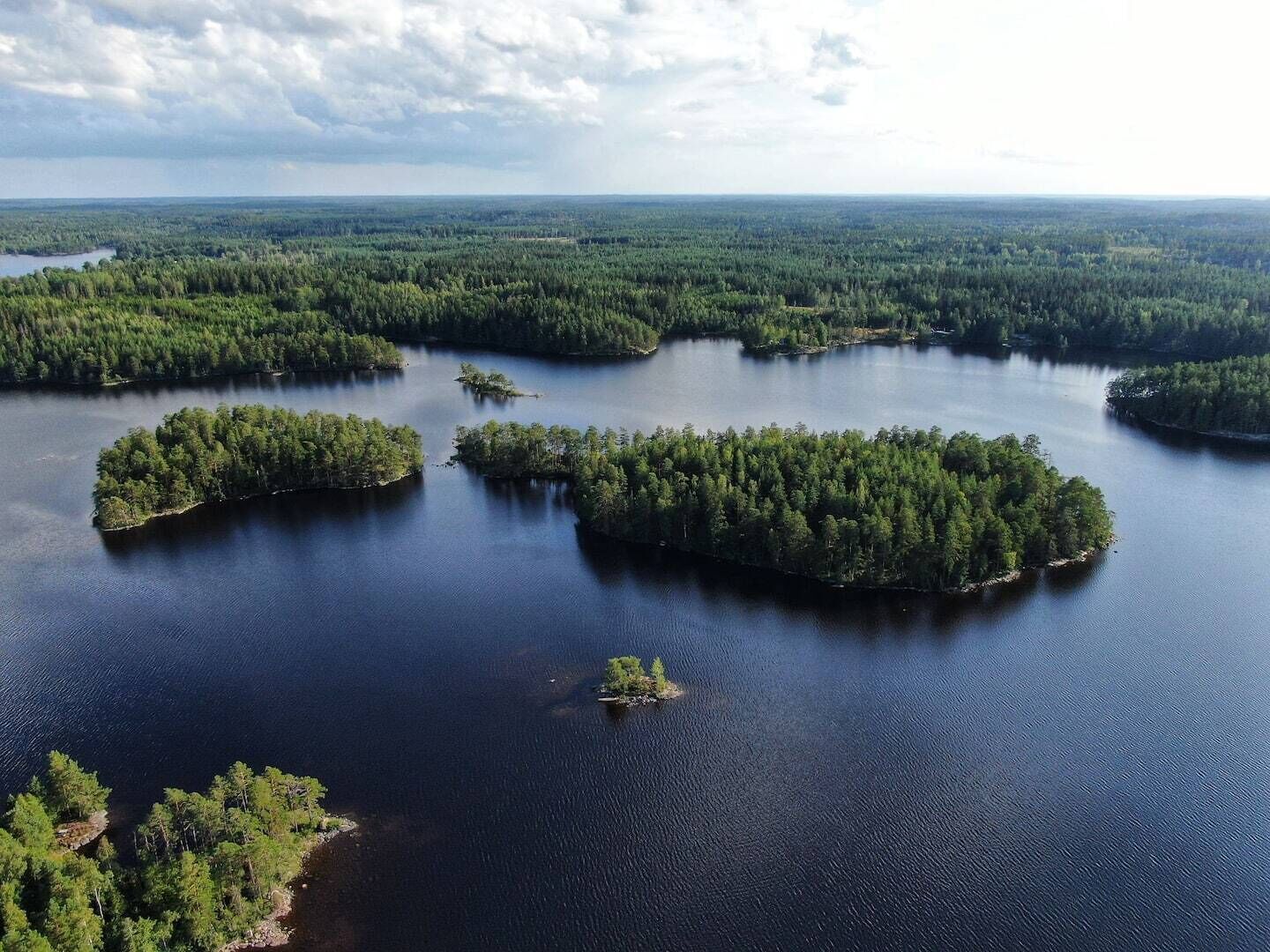 Vista aerea di un lago circondato da una fitta foresta.