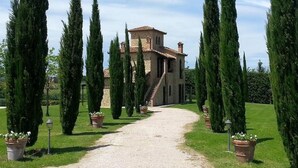 A stone building with a central staircase, surrounded by tall cypress trees and a gravel path.