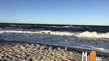 Beach nearby, 4 beach bars