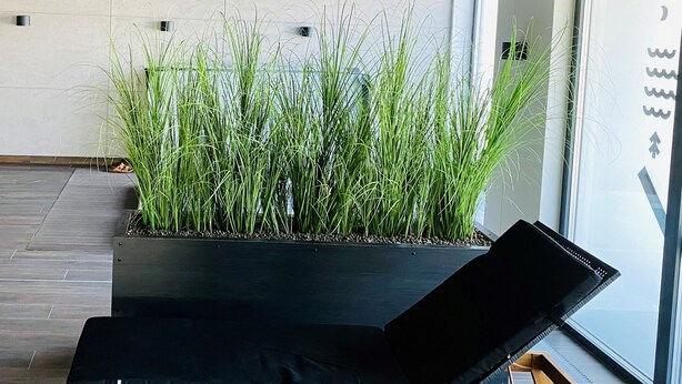 Een moderne loungehoek met een zwarte zitting, een plantenbak met hoge groene planten en een groot raam met uitzicht op de lucht.