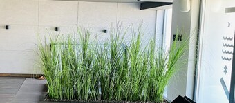 เอ็มเอส โปร อพาร์ทเมนท์ โคโล บร์แซกุ