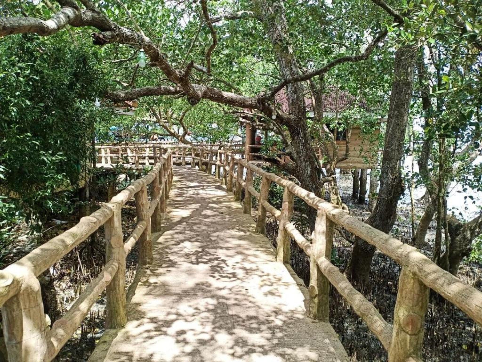 Uma ponte de madeira com grades, cercada por árvores e vegetação.
