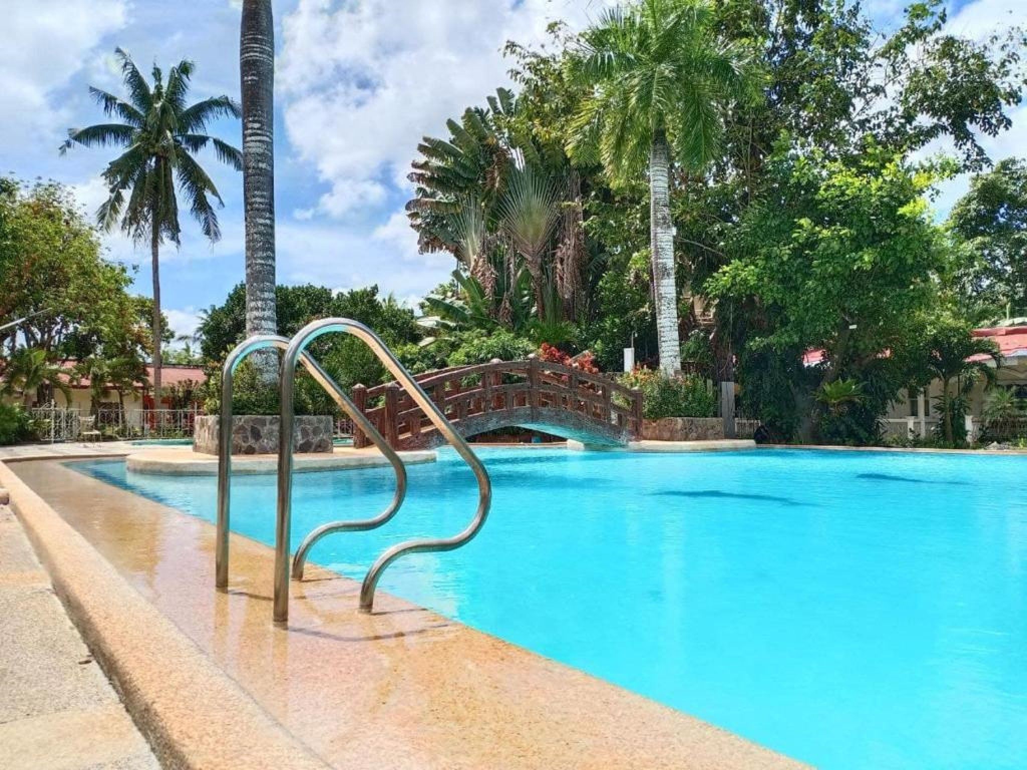Una piscina con un ponte, circondata da palme e vegetazione.