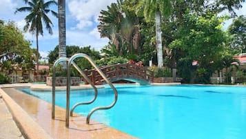 Una piscina con un ponte, circondata da palme e vegetazione.