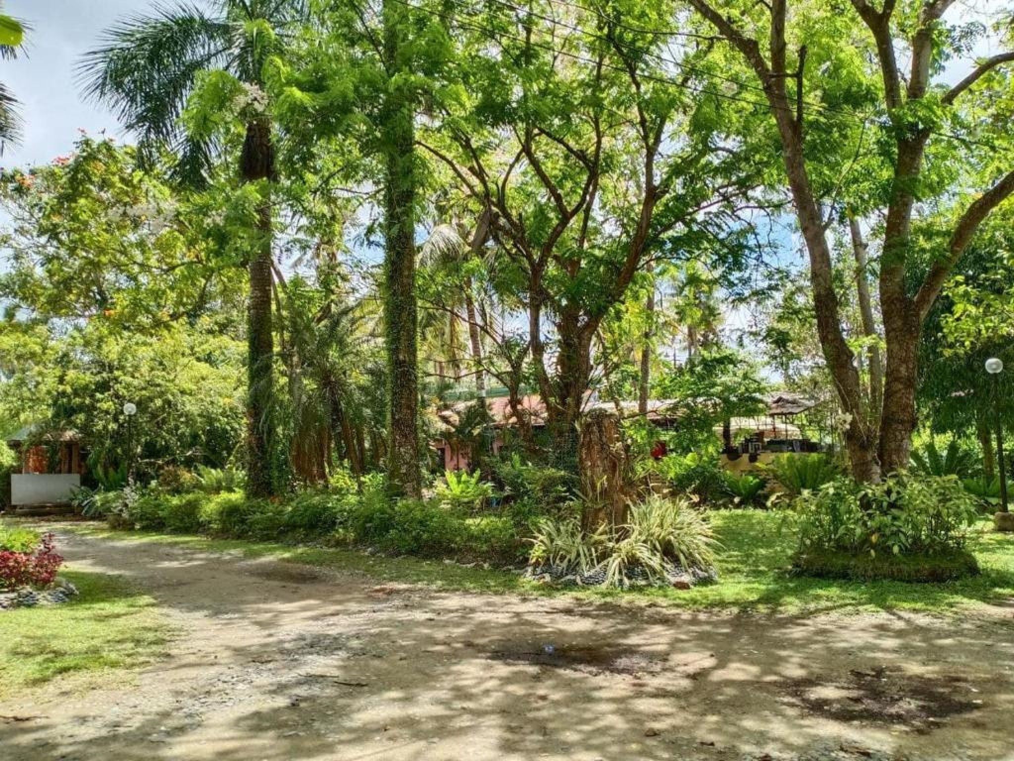 A garden with a dirt path leading to a building with a red roof.
