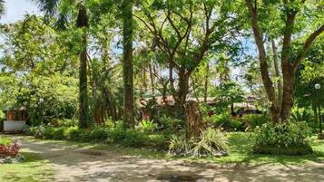 A garden with a dirt path leading to a building with a red roof.