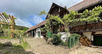 Saschiz 130 - Transylvania