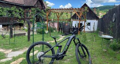 Saschiz 130 - Transylvania