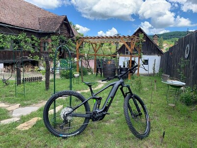 Saschiz 130 - Transylvania