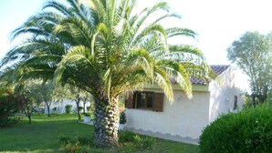 Une maison avec un palmier devant, un petit jardin et une façade blanche.