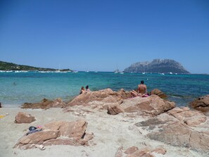 En la playa y camastros 