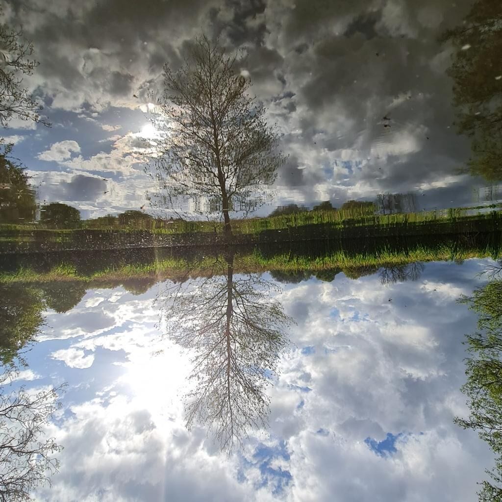 Água calma refletindo uma árvore e o céu.