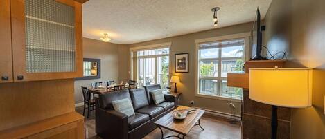 TV, fireplace, DVD player