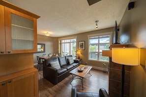 TV, fireplace, DVD player