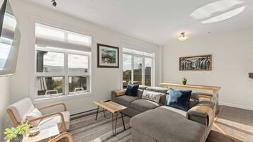 TV, fireplace, DVD player