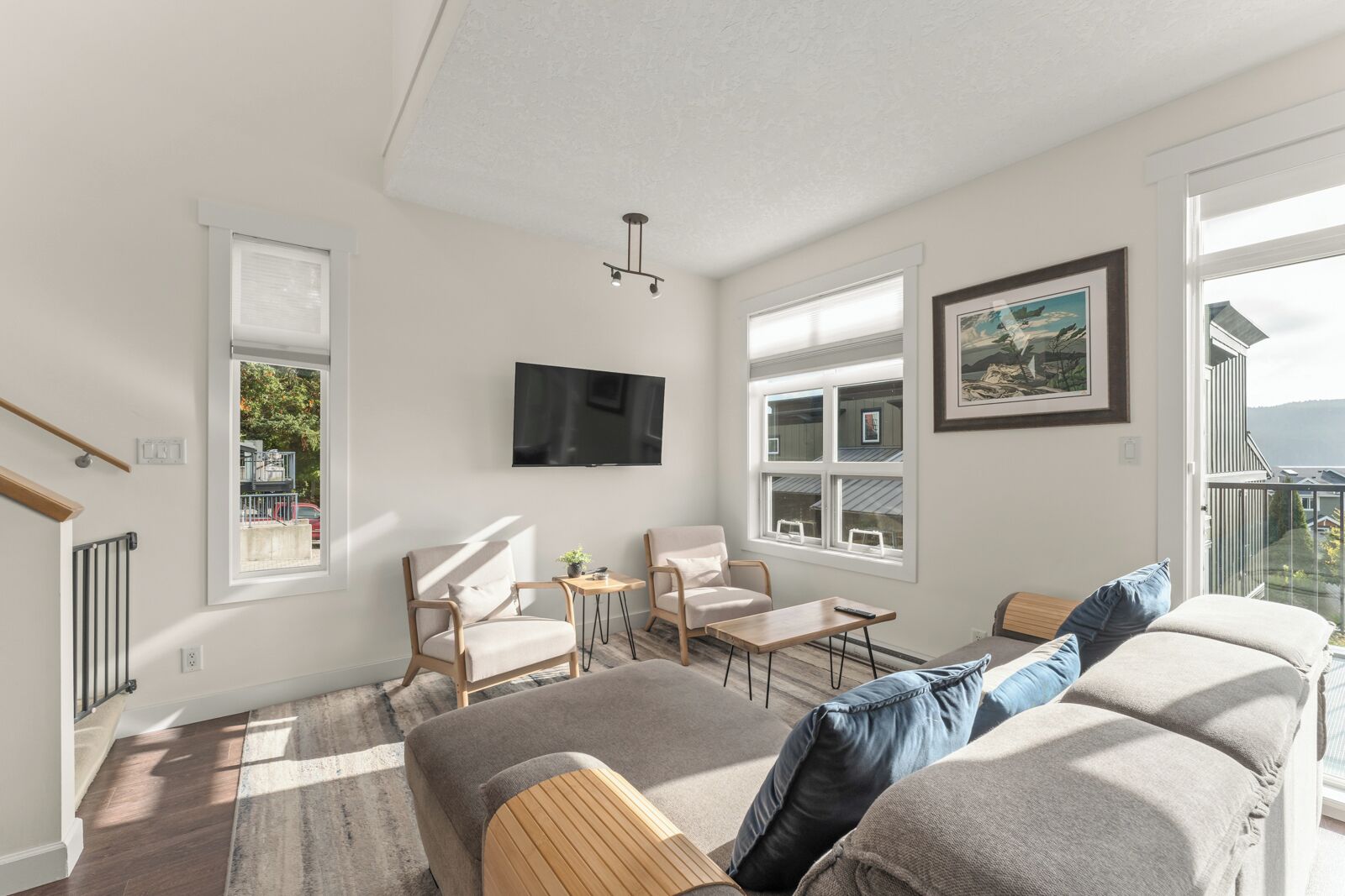 TV, fireplace, DVD player