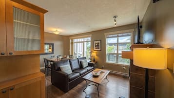 TV, fireplace, DVD player
