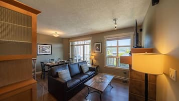 TV, fireplace, DVD player
