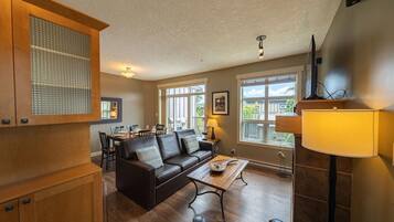 TV, fireplace, DVD player