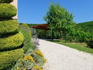 Property grounds - Holiday Home Brajdice - Five Bedroom Holiday Home with Pool (Cerovlje)