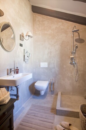 Shower, hair dryer, bidet, towels