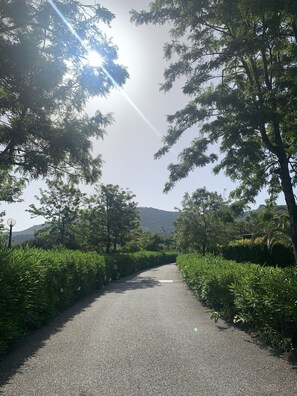 Property grounds - Anna's HOUSE - Family HOME (Pizzo)