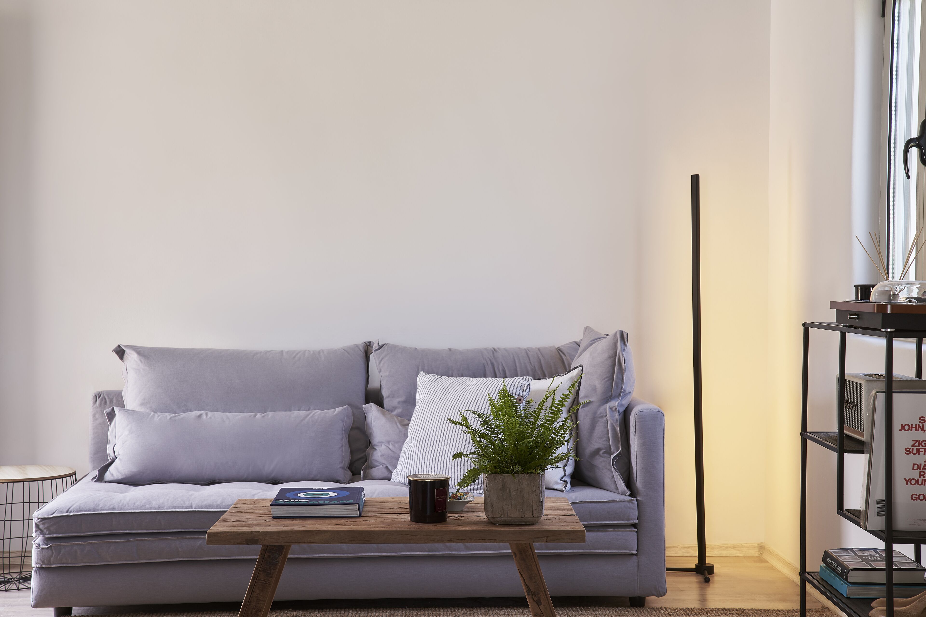 A modern living room with a grey sofa, a wooden coffee table, a potted plant, and a bookshelf.