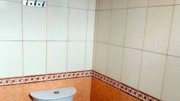 Shower, rainfall showerhead, towels, toilet paper